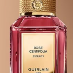 EDP Rose Centifolia Extrême 1 – Extrême